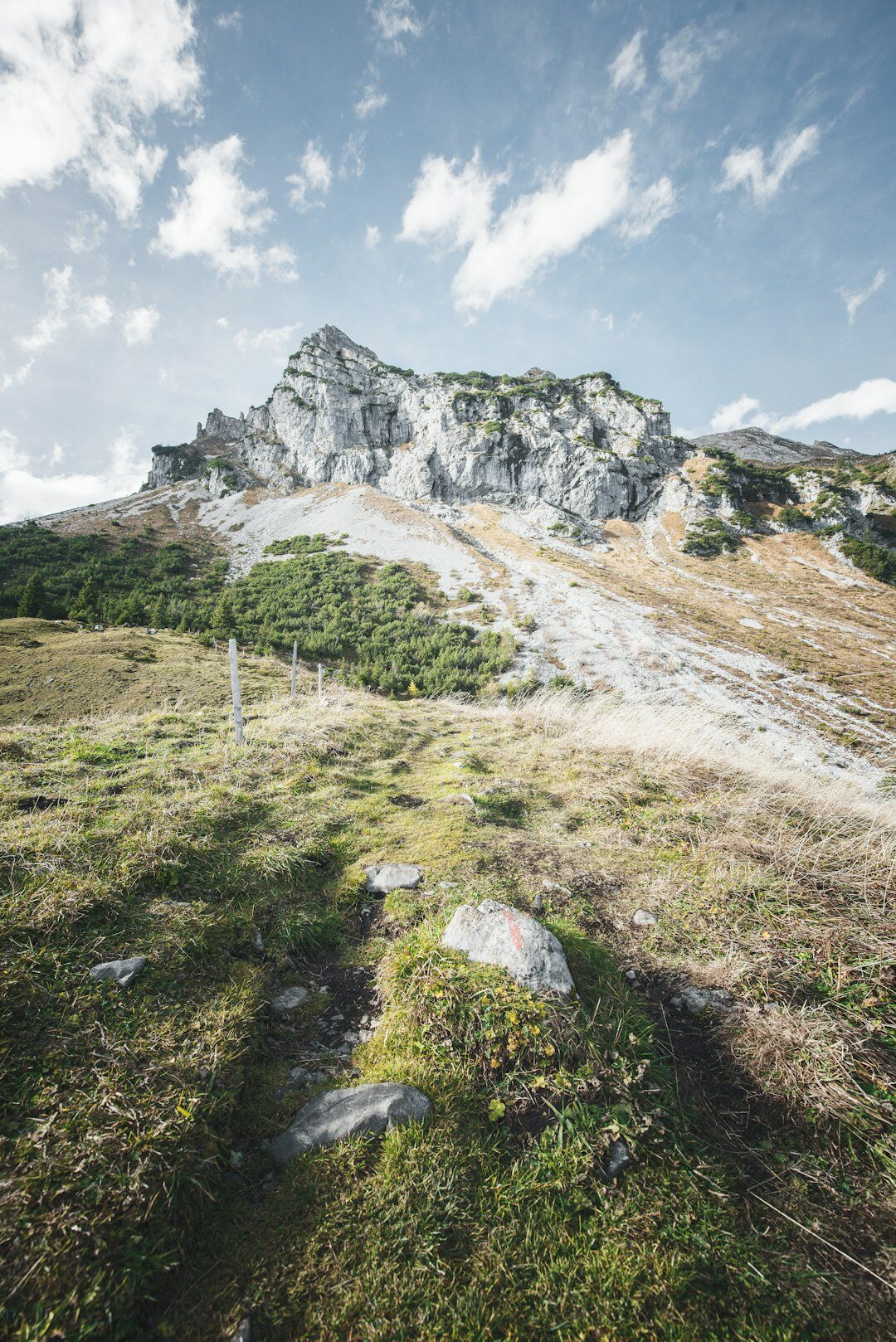 swiss nature landscape